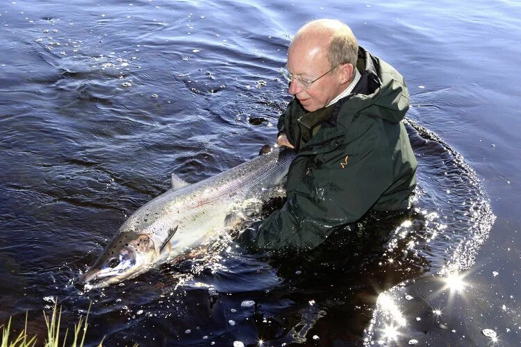 Приснилась рыбалка. Приснилась рыба в воде. Приснилось много огромной рыбы в воде. Сон рыба в чистой воде крупная. Рыбы в чистой воде сонник