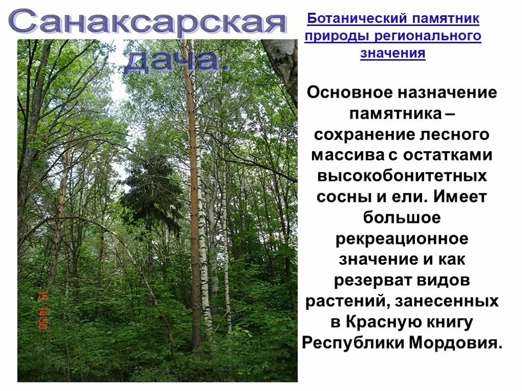 Мордовия природная зона какая. Памятники природы Мордовии. Природа Мордовии презентация. Растительный мир Мордовии презентация. Природа Мордовского заповедника.