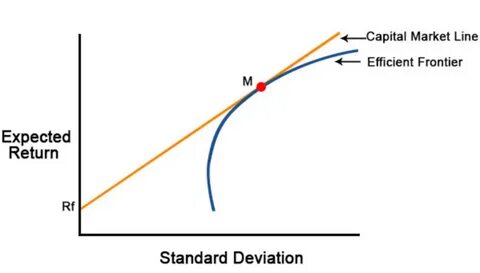 Capital line