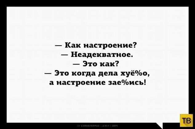 Человек становится неадекватным. Неадекватный юмор. Анекдоты про неадекватных людей. Фразы про неадекватных людей. Цитаты про неадекватных людей.