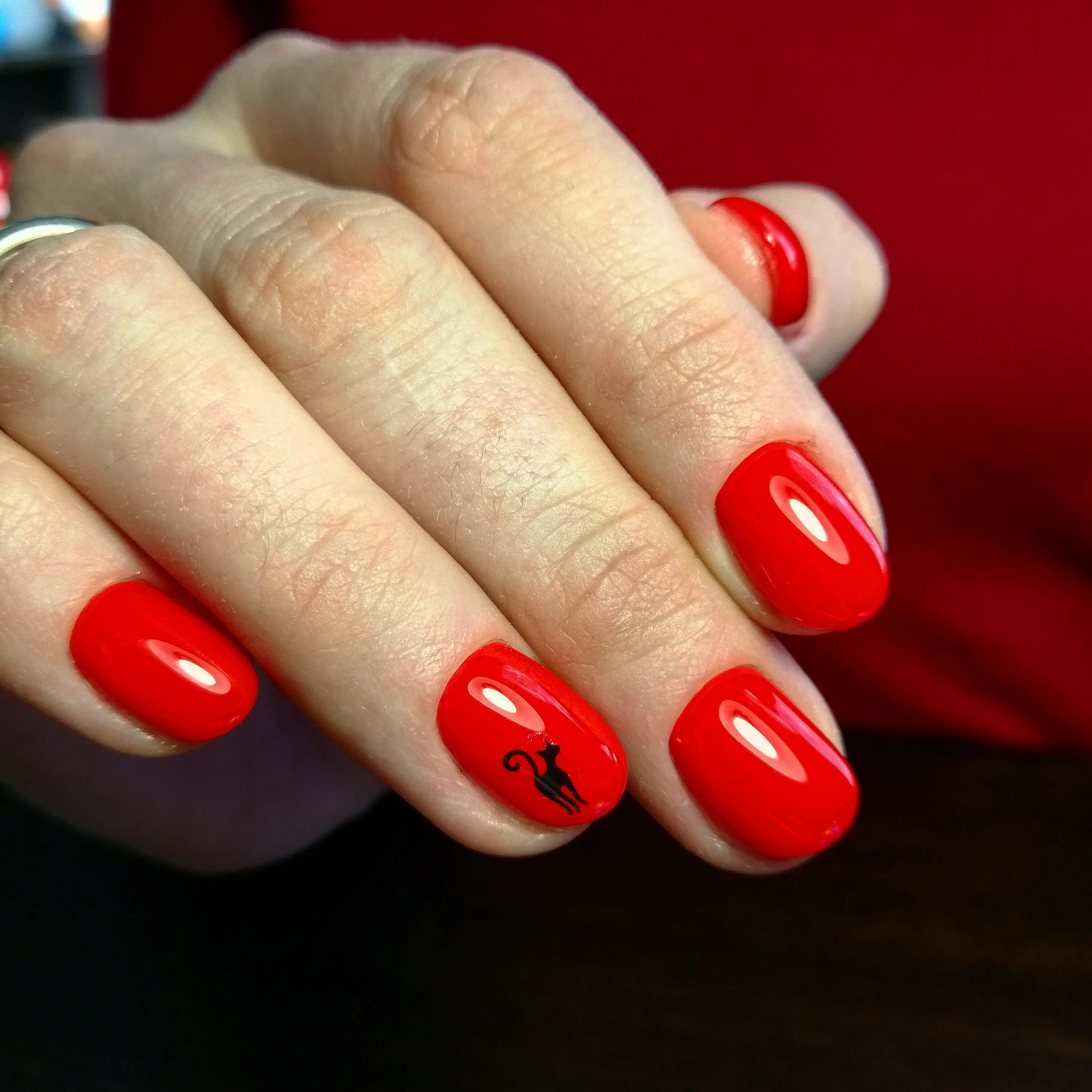 Pro100nail, ногтевая студия, Тверская ул., 1/13, Колпино - Яндекс Карты