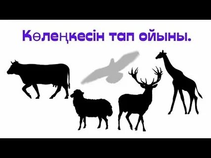 Көршілердің душындағы порно