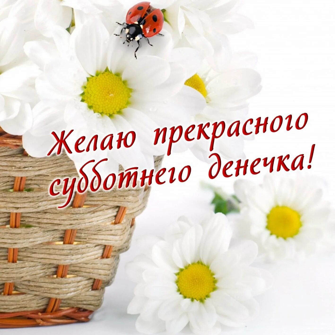 Хороших весенних выходных и отличного настроения картинки. Хорошего дня и отличного настроения. открытка хорошего дня и настроения. открытки отличного дня. открытка прекрасный день.