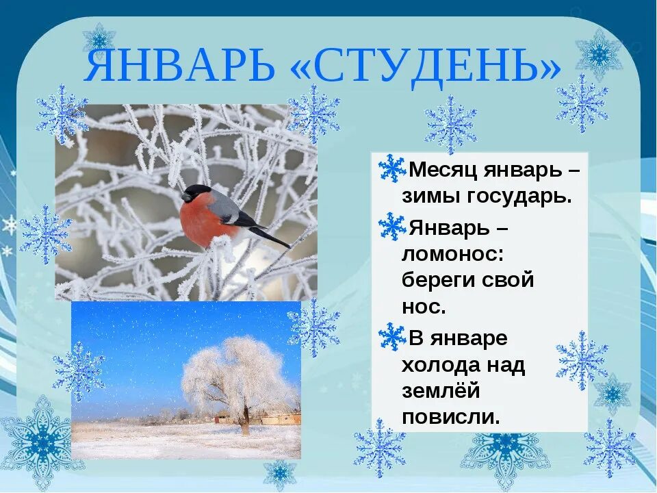 Январь второй месяц. Презентация на тему зима январь. Календарь природы зима. Презентация зима для дошкольников. Календарь природы зима в детском саду.