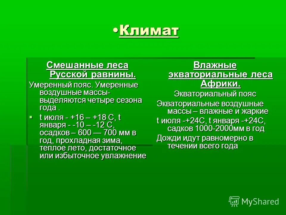 Какие условия в смешанных лесах. Смешанные леса климат. Климат смешанных и широколиственных лесов. Климат смешанных лесов в России. Воздушные массы смешанных лесов.