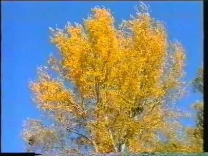 Шопен осень слушать