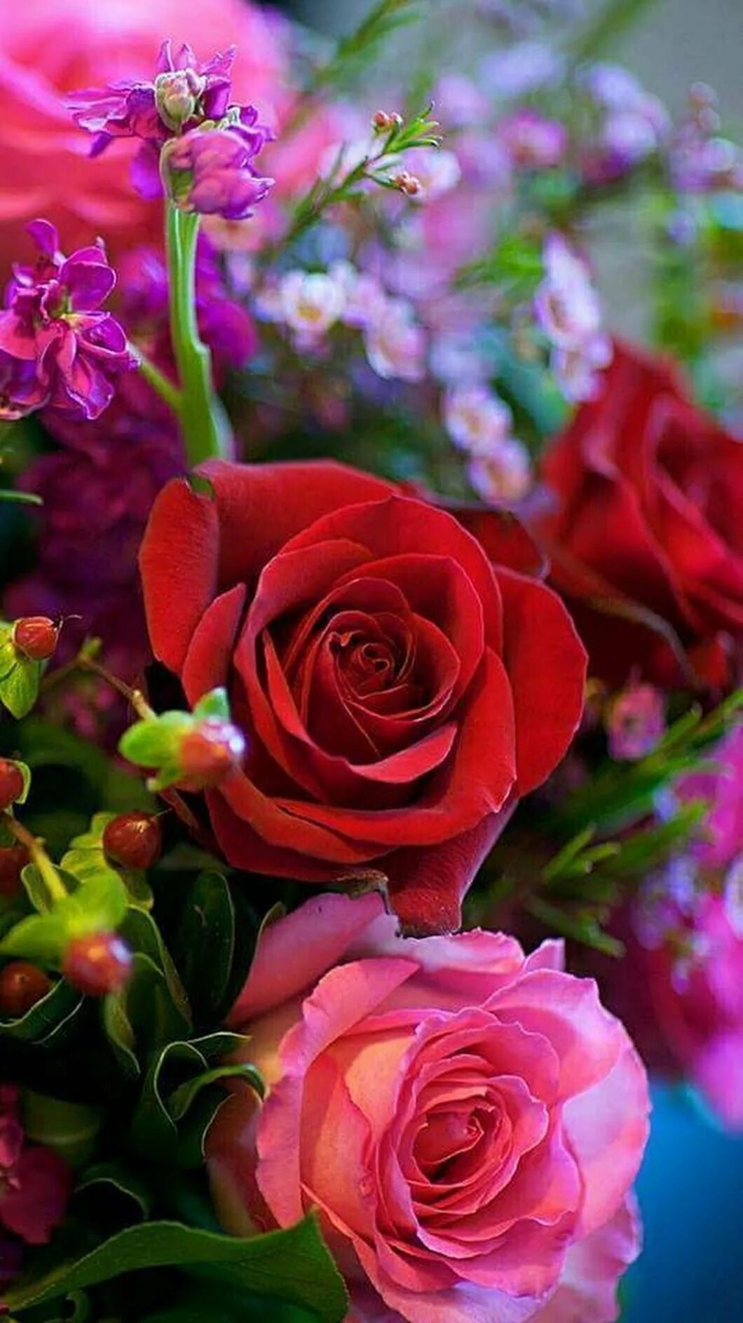 Скачать бесплатно фото цветов в хорошем качестве Пин на доске Rose Garden