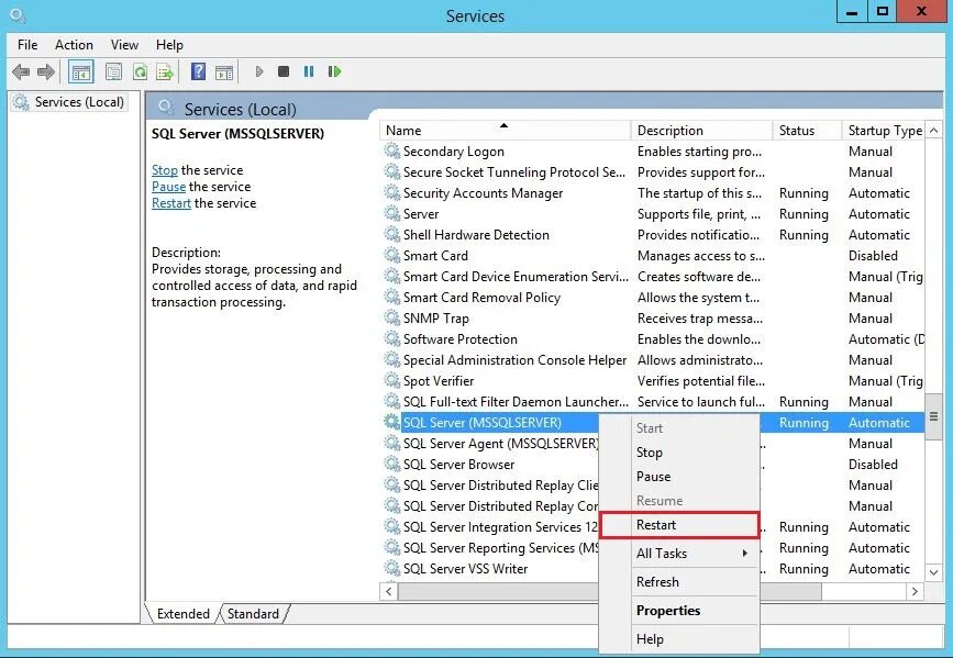 File provider paths