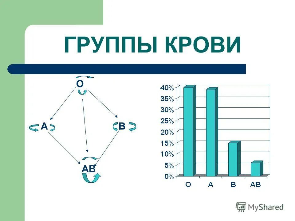 Группа крови т