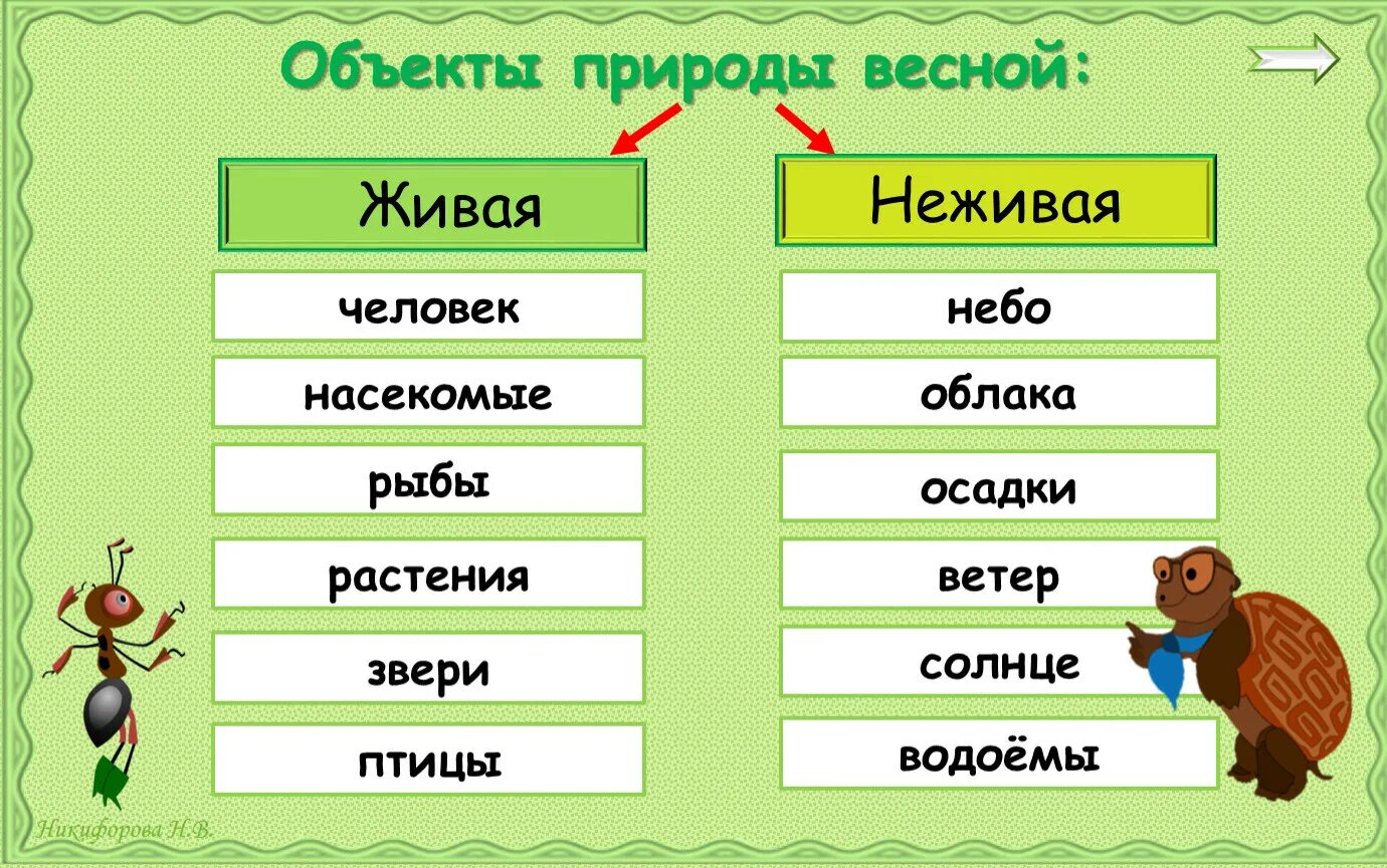 Объекты природы. Объекты живой и неживой природы 2 класс. Объекты природы 2 класс. Объекты природы окружающий 2 класс. Напиши объекты природы