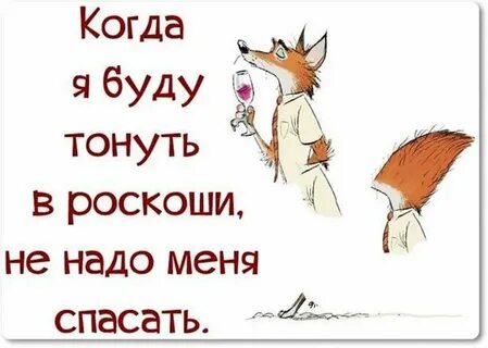 Среда картинки смешные с надписями