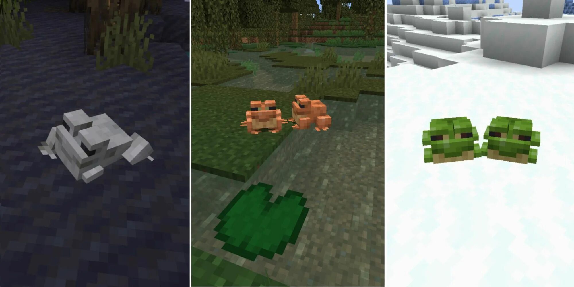 The man from the frog minecraft