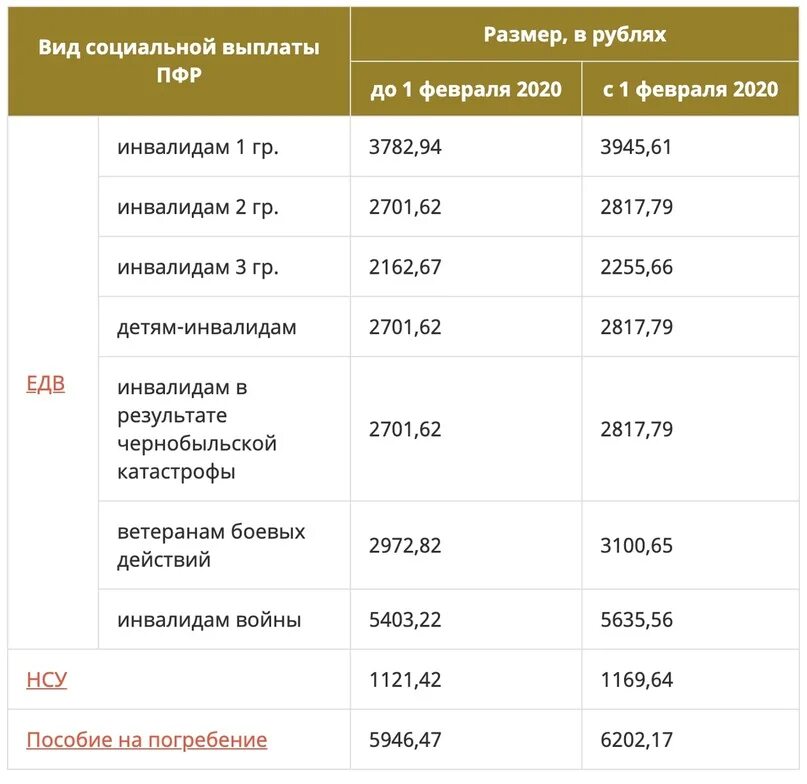 Денежные выплаты инвалидам 1 группы. Размер социальной пенсии в 2020. Размер социальной пенсии по инвалидности 2 группы. Размер социальной пенсии по инвалидности по годам. Какие социальные выплаты будут.