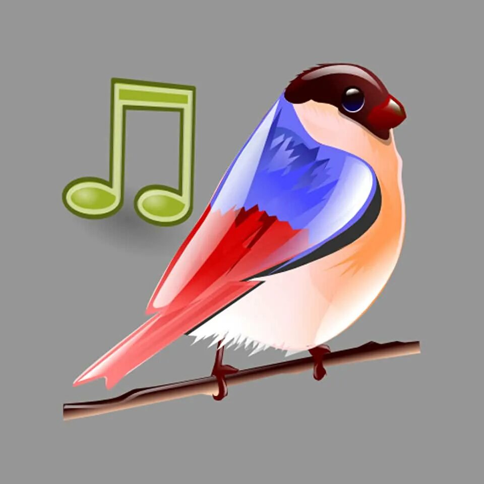 Птица с 4 звуками. Bird sounds. Звуки птиц. Аудио звук птицы. Птицы на андроид.