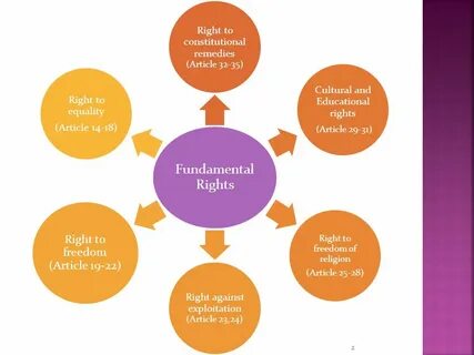 Fundamental pepper education
