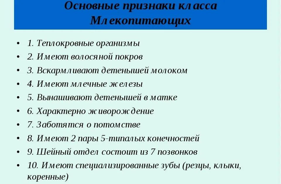 Почему человек относится к классу. Характерные признаки представителей класса млекопитающие. Признаки класса млекопитающие 8 класс. Основные Общие признаки млекопитающих. Основные признаки млекопитающих 8 класс.