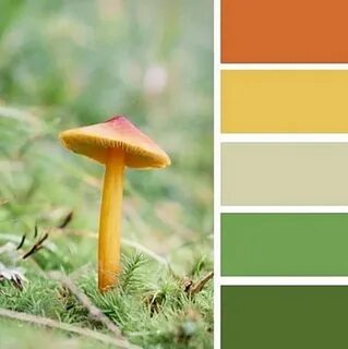 Оттенок mushroom