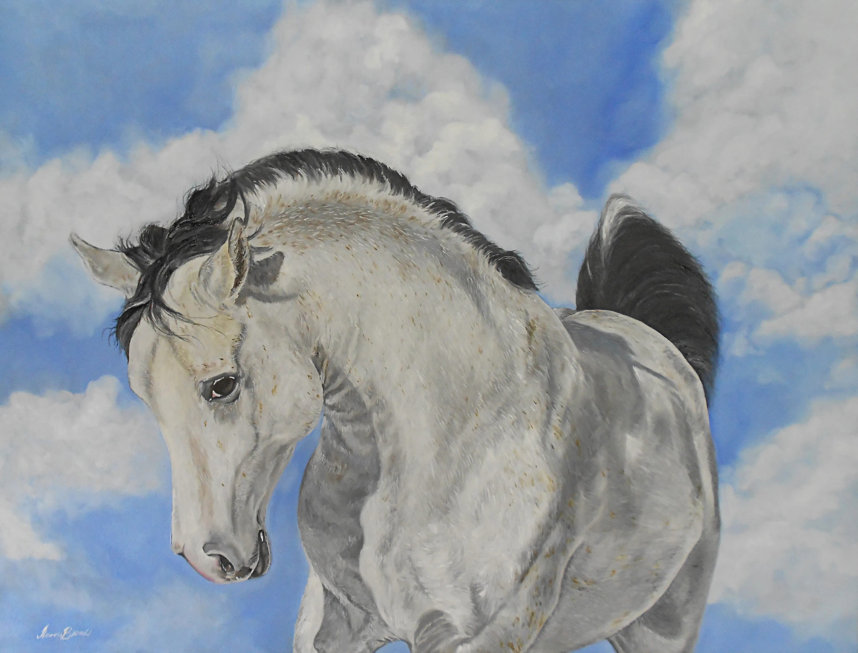 Лошадь в темноте оригинал. Дзен белая лошадь. Фотограф дрю доггетт. Художество красивые картинки карандаши. Дзен белая лошадь.