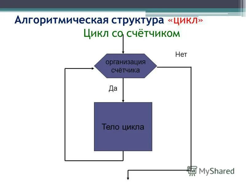 Структура цикла управления. Структура цикла управления