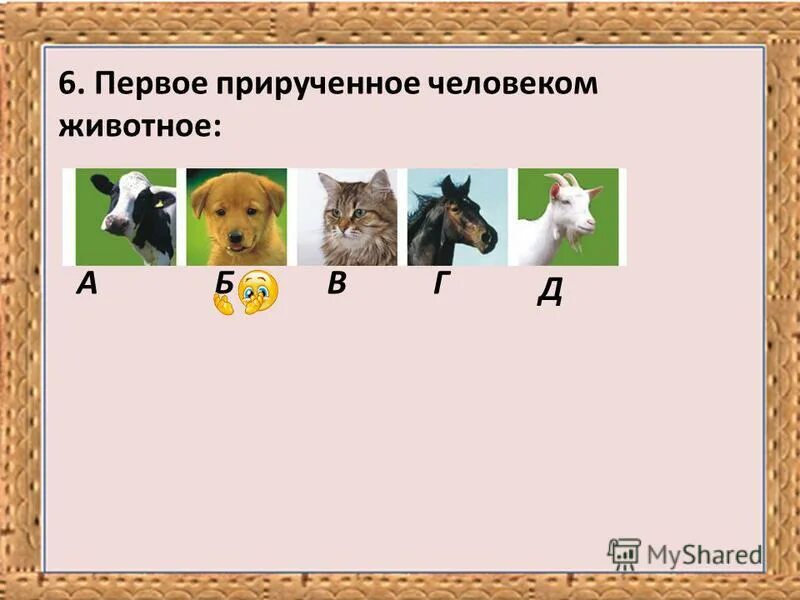 первое домашнее животное прирученное человеком. родоначальник собак. дикие люди приручают животных. первым животным которое одомашнил человек была. нарисуйте животных которых первыми приручил человек.