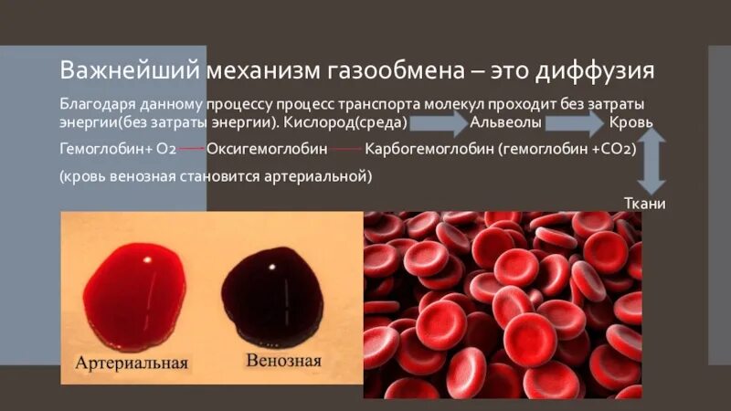 Гемоглобин кислород о2 оксигемоглобин. Гемоглобин и оксигемоглобин. Карбогемоглобин эритроциты. Карбгемоглобин оксигемоглобин. Гемоглобин образуется в результате