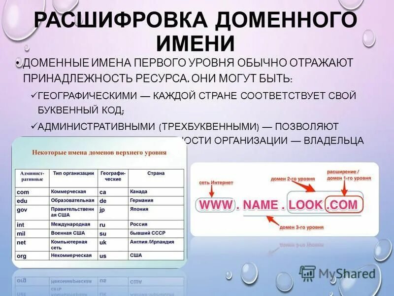 Первое доменное имя зарегистрированное. Первое доменное имя зарегистрированное