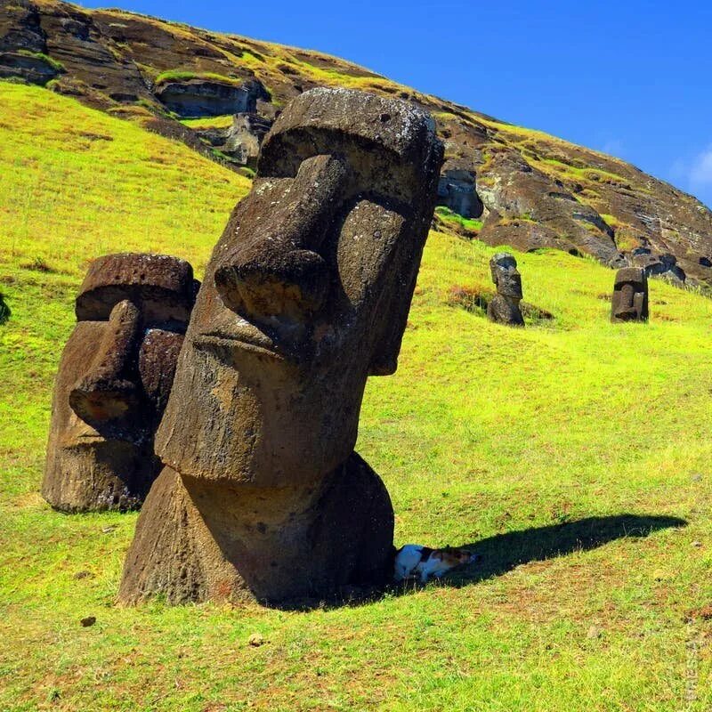 Статуи на острове. Каменные истуканы острова Пасхи. Остров Пасхи статуи Моаи. Каменные статуи Моаи остров Пасхи Чили. Статуи Мауи с острова Пасхи.
