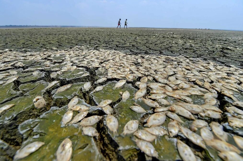 Засуха. Вода и засуха. Аномальная засуха. Засуха в Индии.