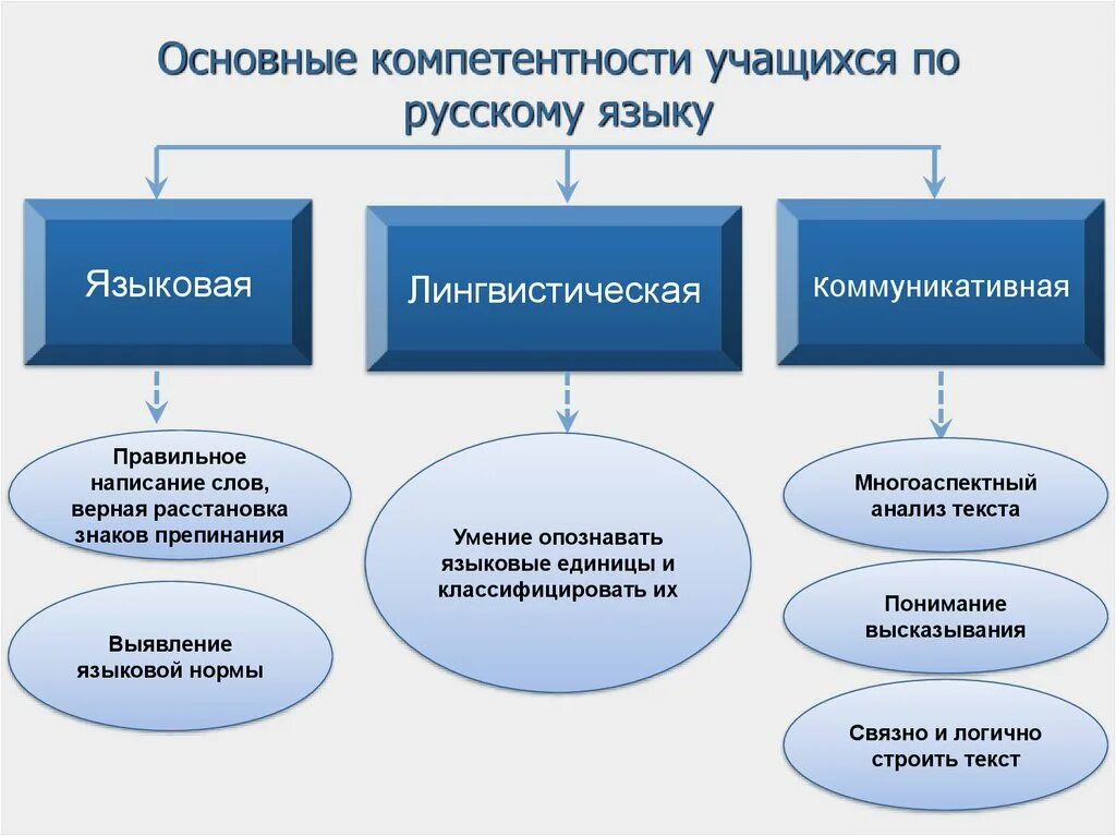 Общие компетенции фгос. Предметные компетенции по русскому языку. Языковая компетенция это по ФГОС по русскому языку. Компетенции на уроках русского языка. Основные компетентности учащихся по литературе.