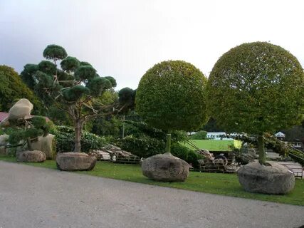 Eco plant