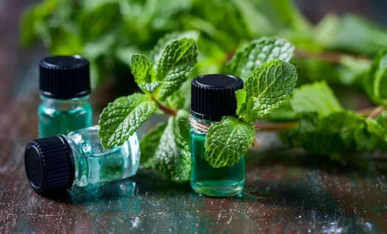 Мята перечная ментол. Mentol. Мята перечная ментол. Эфирное масло мяты перечной. Мята листик.