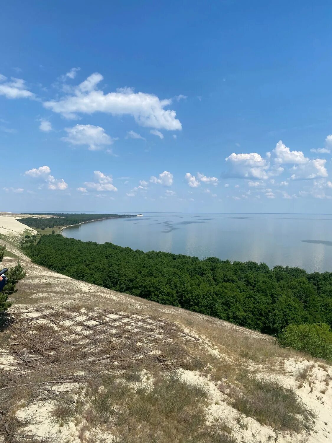 Зеленоградск куршская коса. Куршская коса дюны. Высота эфа куршская коса. Высота мюллера куршская коса. Куршская коса экскурсия отзывы.