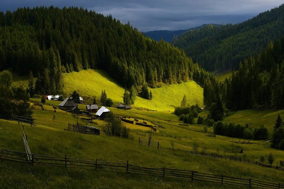 Карпаты какое государство. Буковина Румыния. Румыния Карпаты Буковина. Молдова Карпаты горы. Северная Буковина природа.