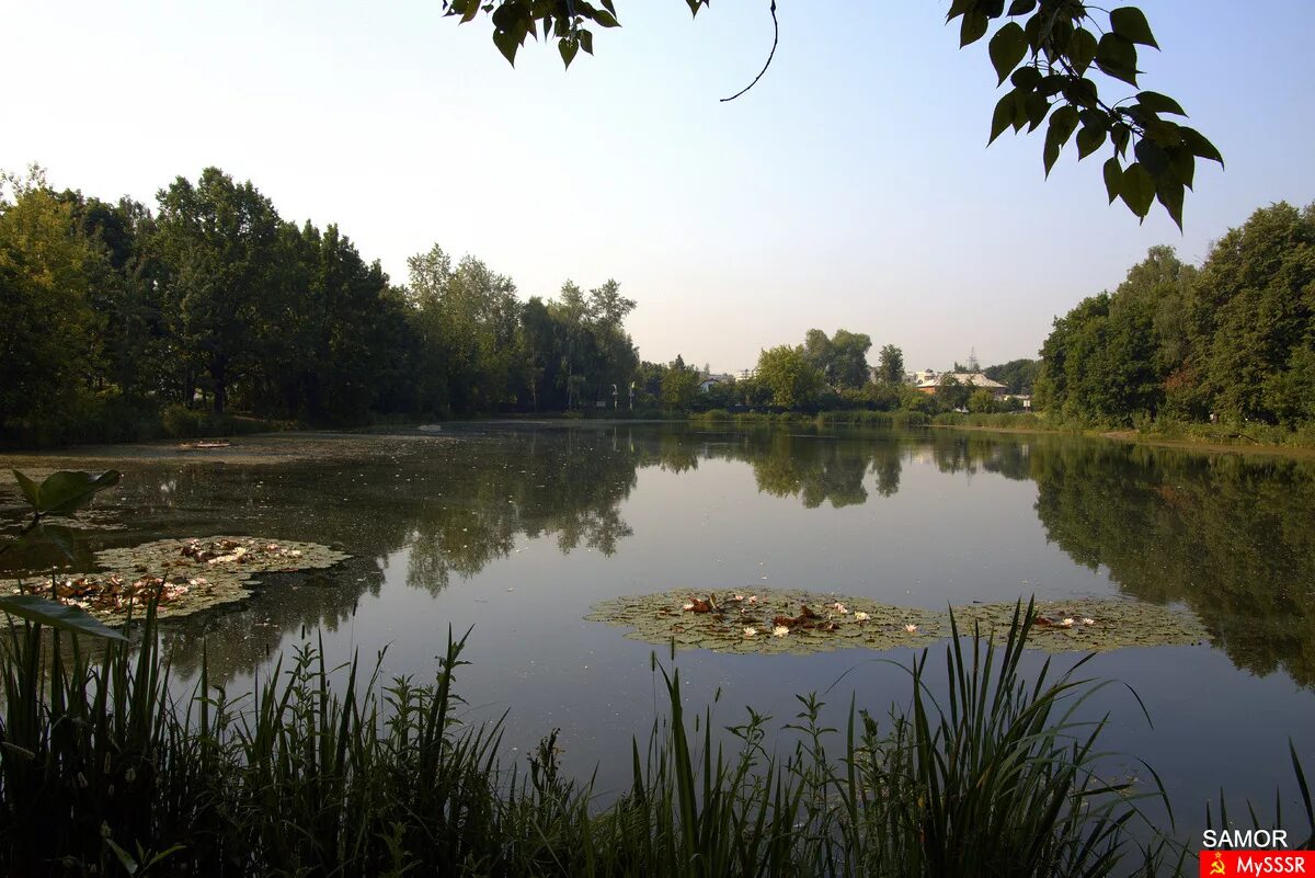 салтыковка улица нижняя. тарелочкин пруд салтыковка. озеро тарелочка в салтыковке. серебряный пруд салтыковка. желтое озеро балашиха.