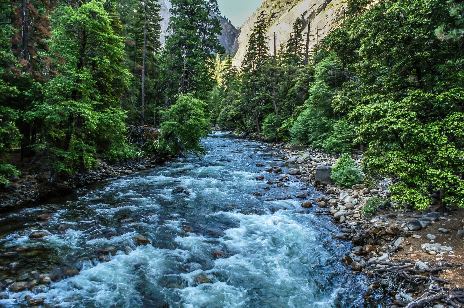 Река елинка. Река арамилка. Река ривер. Река мерсед. River soon.