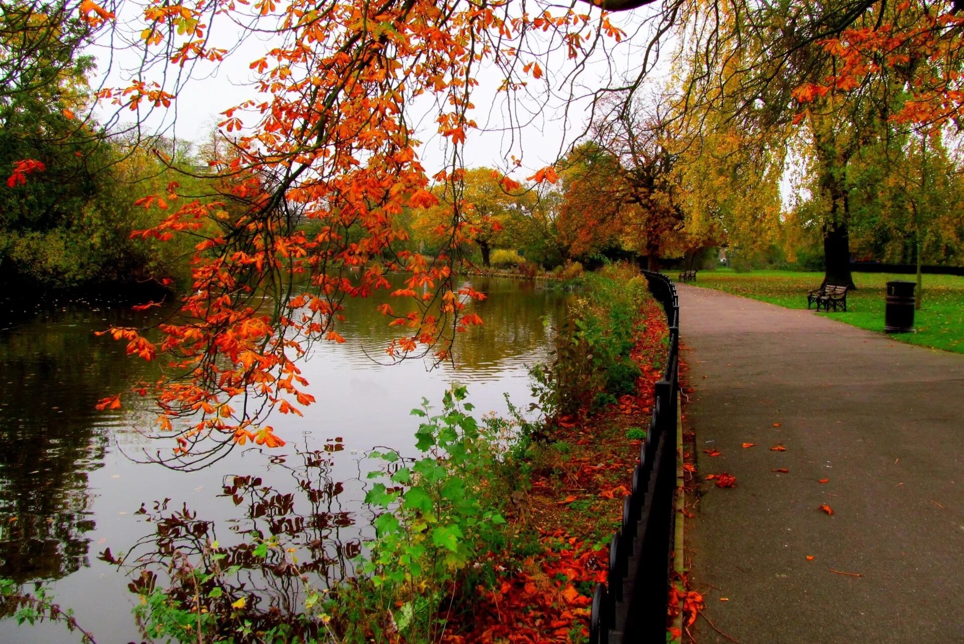 Красивые осенние картинки. Осенний парк. Парк осенью. Осень в парке. Золотая осень в парке.