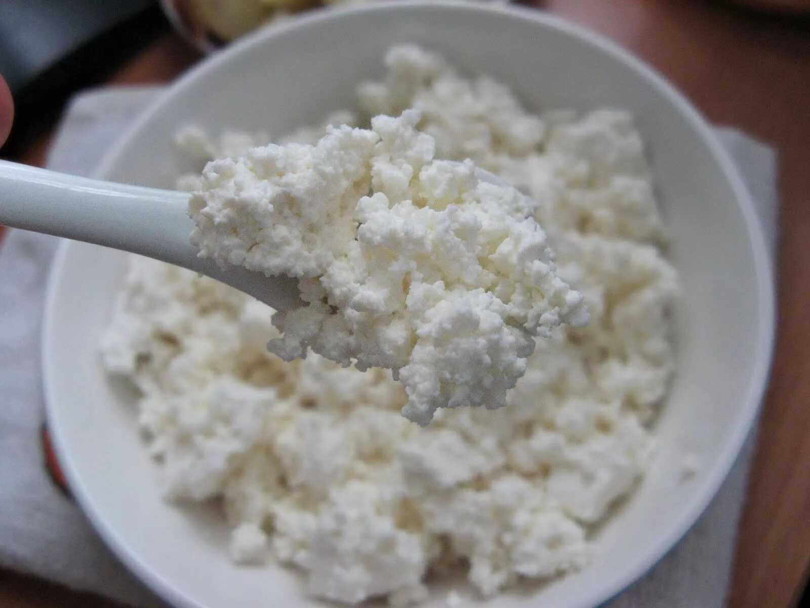 творог для компрессов. домашний творог детский. домашний творог для грудничка. творожки для малышей до года. творог домашний.