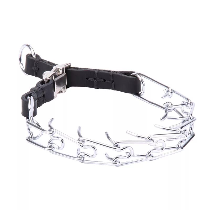 Строгий ошейник парфорс. Ошейник парфорс строгий на собаке. Строгий ошейник v. Металлический строгий ошейник. Ошейник для собак строгач германия.