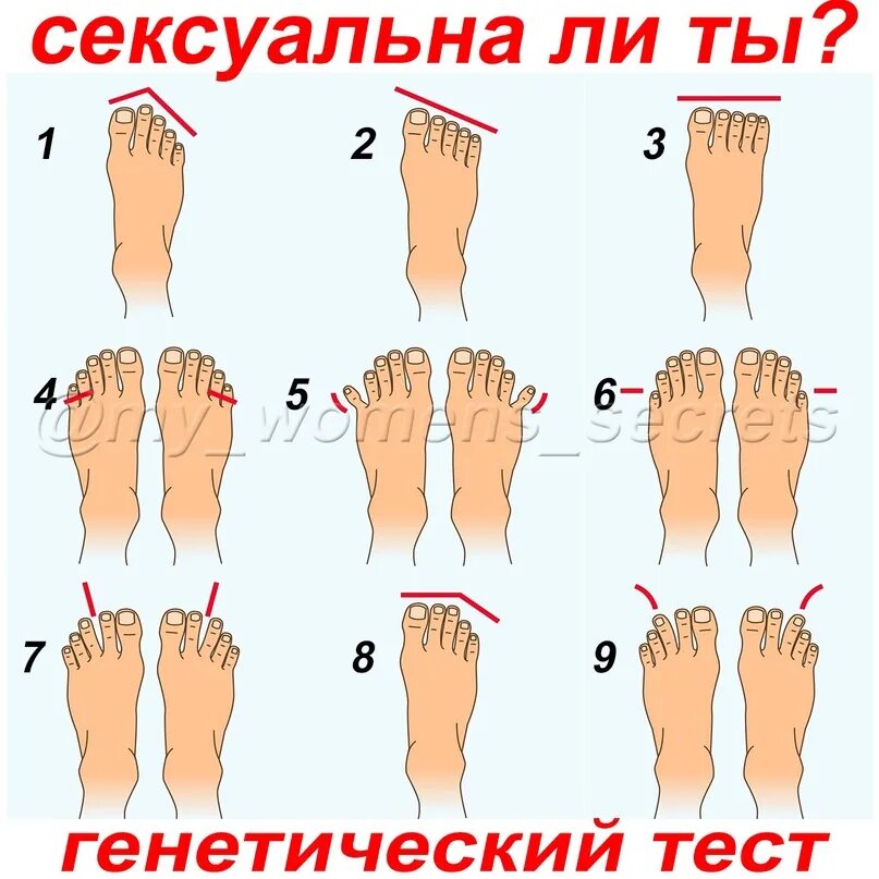 Греческая стопа Римская стопа Египетская стопа. Греческая форма стопы. Форма стопы у женщин. Римская форма стопы. 3 типа стопы