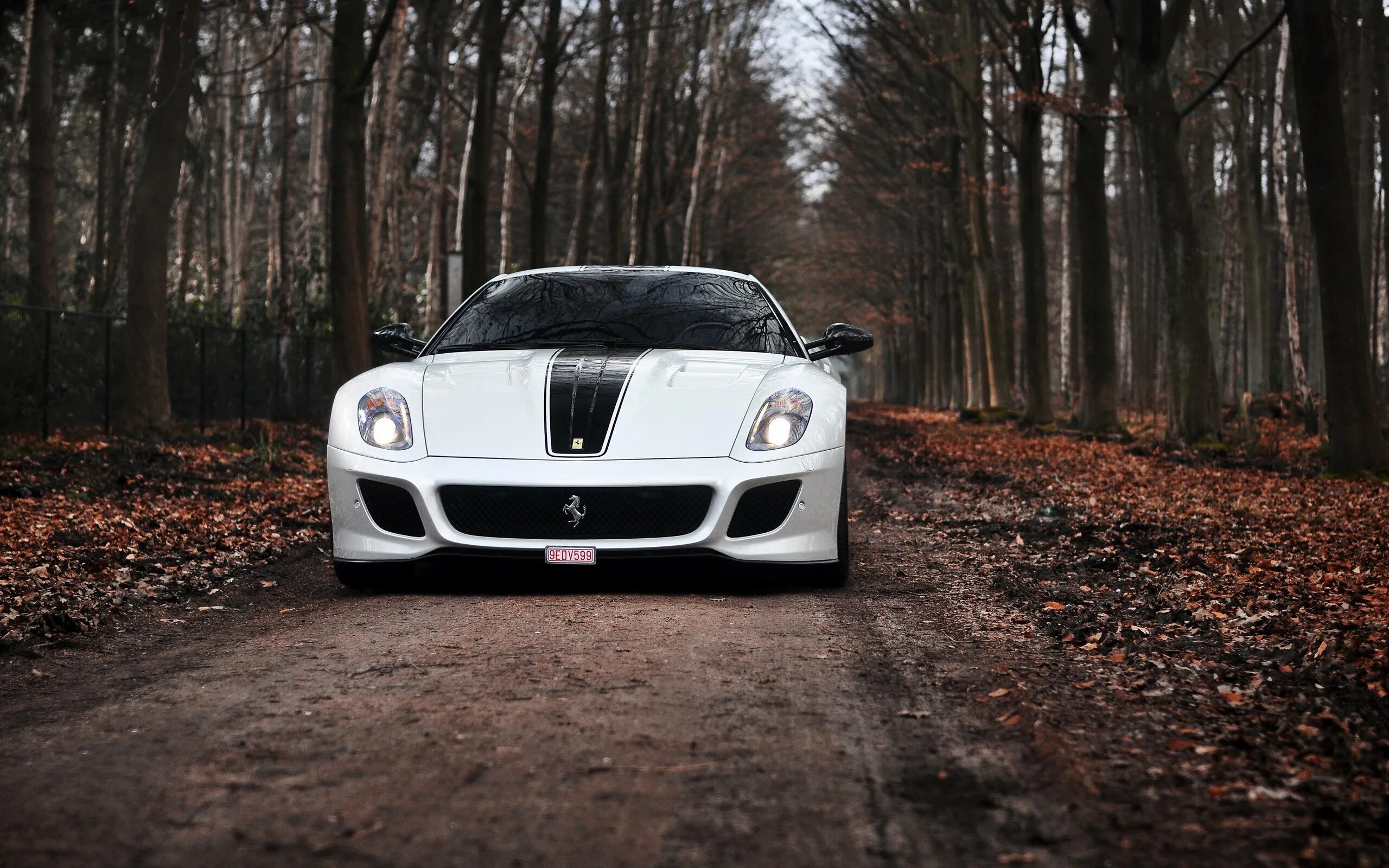 Ferrari 599 GTO Black. Феррари 599 GTO белая. Машина на природе. Машины 1920 1080.