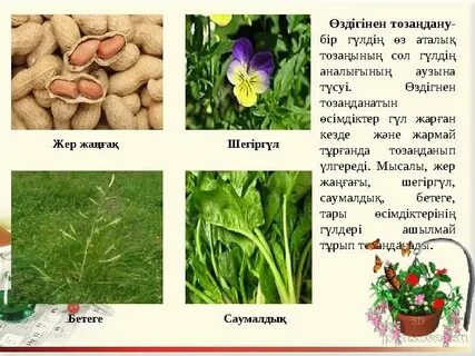 Лидия Арефиева секс ф лм