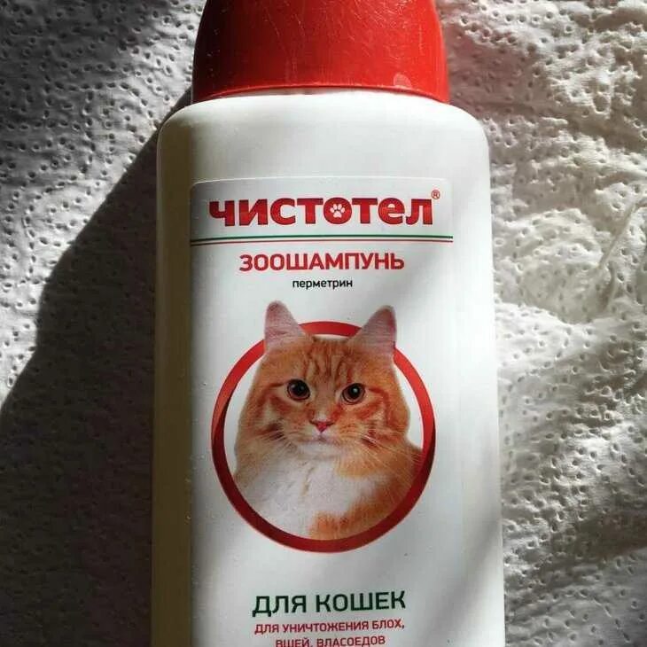 Как часто можно мыть шампунем от блох. Шампунь для котят. шампунь для животных от блох. шампунь от блох для котят. шампунь чистотел для кошек от блох.