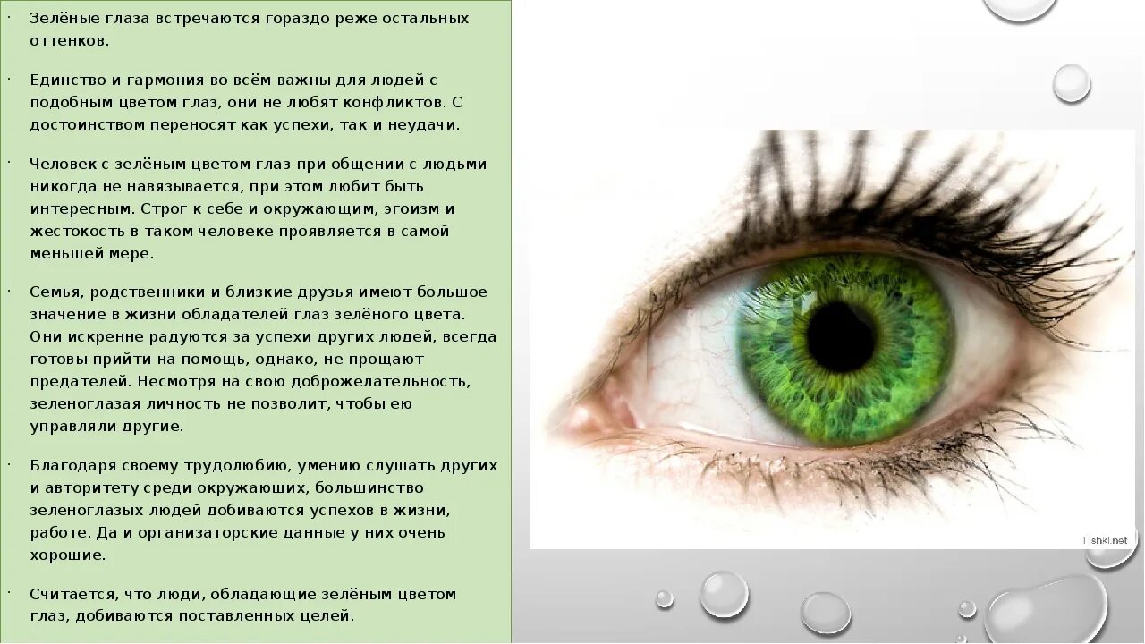 Напиши какого цвета глаза у твоих близких. Зелёные глаза характеристика. Люди с зелеными глазами характеристика. Характер людей с зелеными глазами. Цвета глаз у человека.