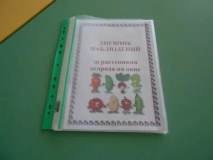Дневник огорода на окне в детском