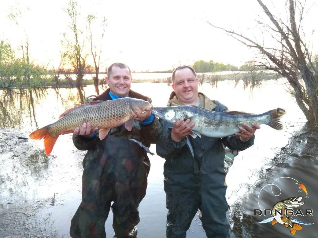 Недорогая рыбалка на волге. Рыбалка на нижней Волге. Рыбалка на Волге. Ловля сазана весной в Астрахани.