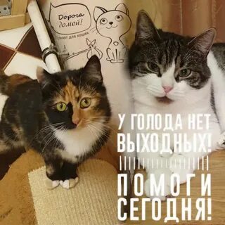 Нет голода