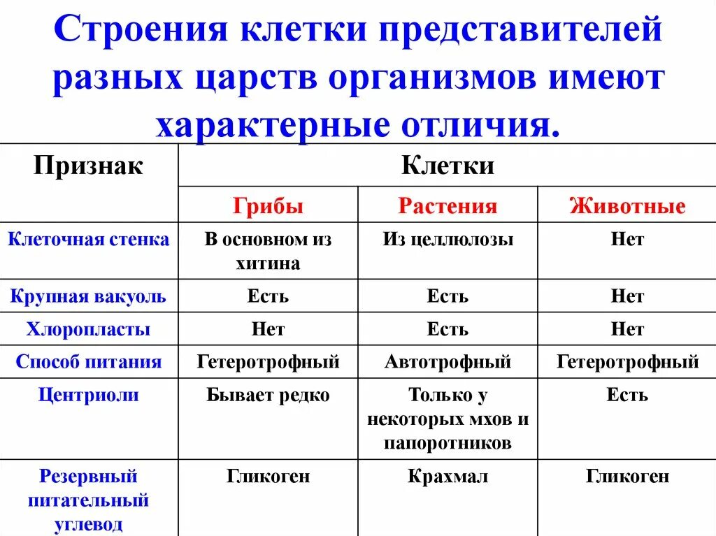 Сравнение клеток организмов