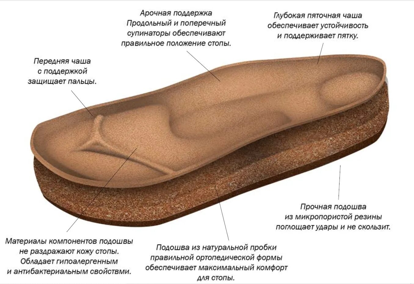 Функция подошвы