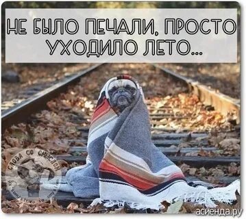 Лето уходя сказала