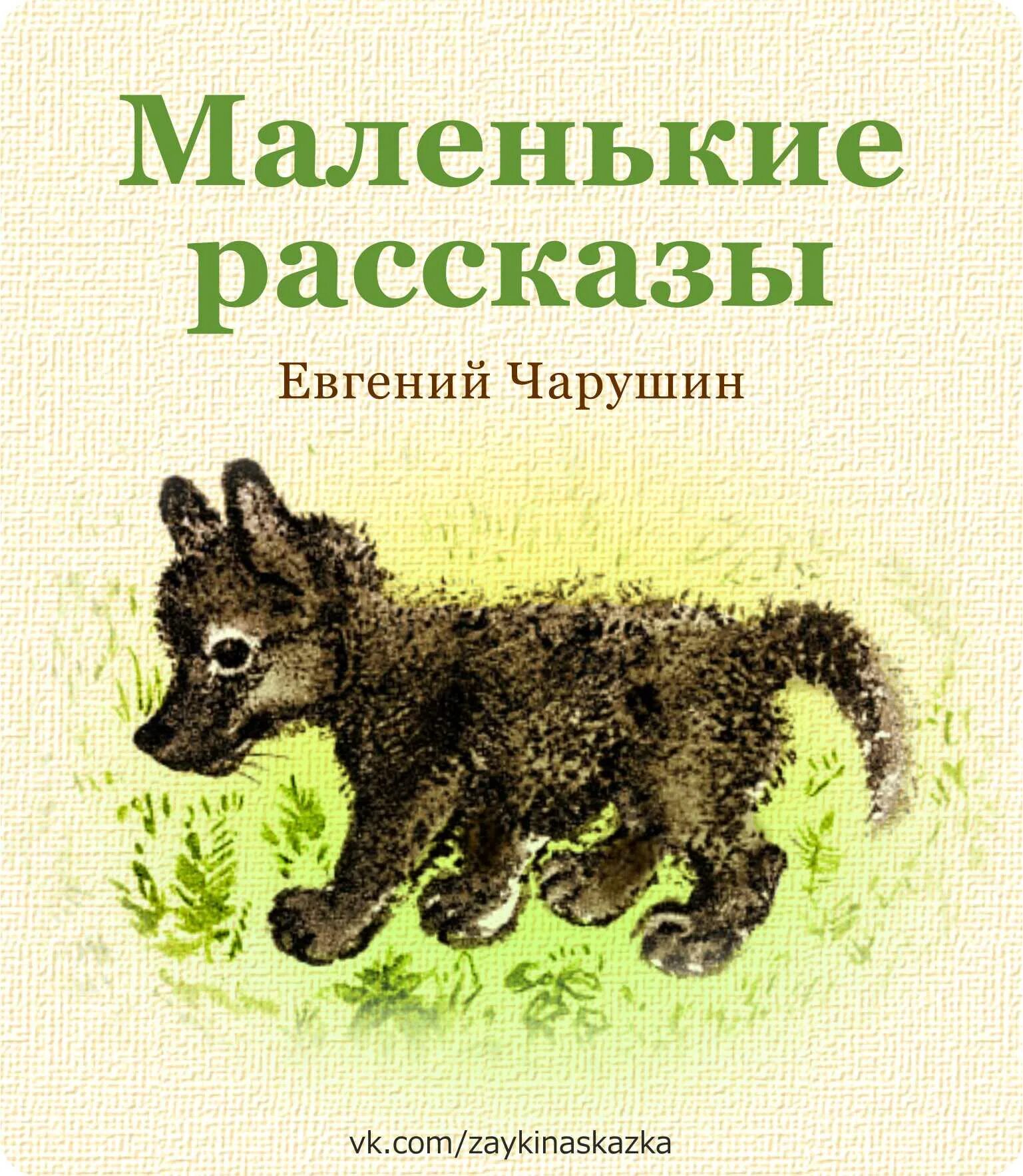 Чарушин обложки книг для детей. Сказки е и чарушина читать